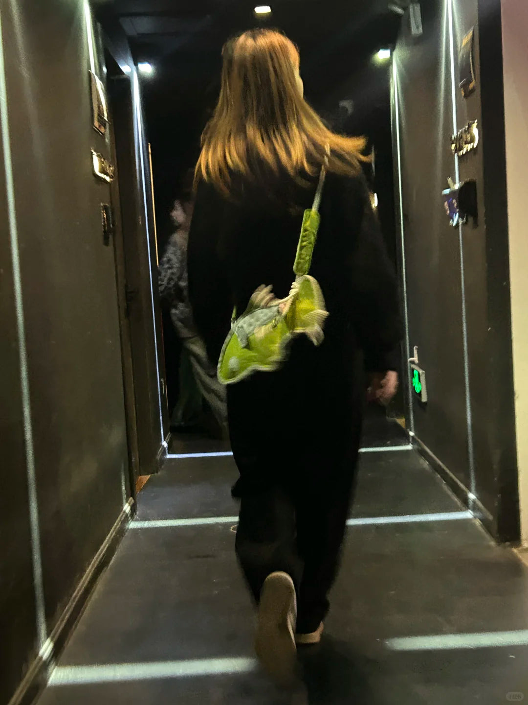 Green Fish Bag