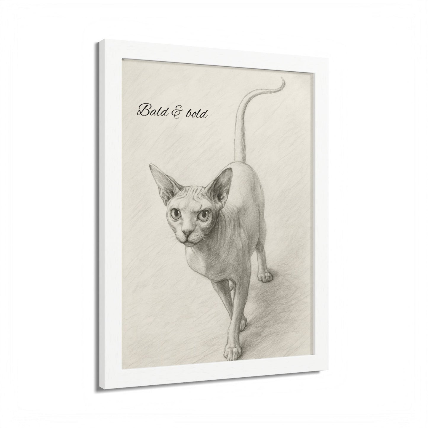 Bald And Bold Framed Sphynx Cat Poster