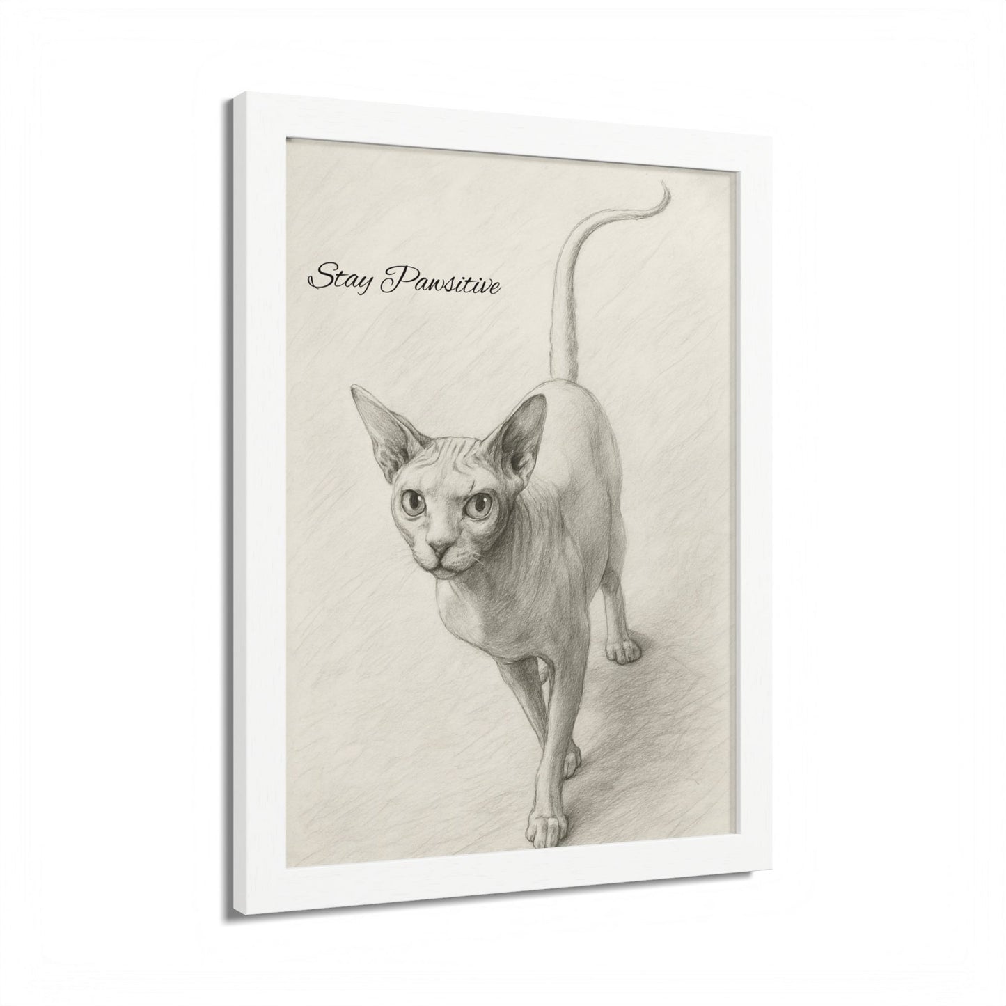 Stay Pawsitive Multi-Color Framed Cat Poster