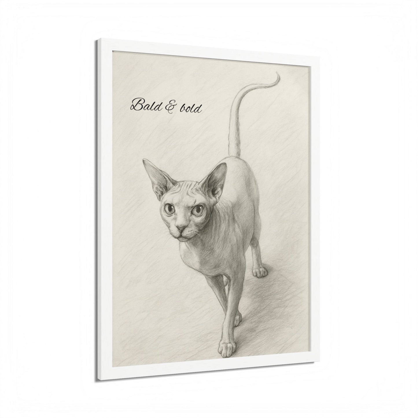 Bald And Bold Framed Sphynx Cat Poster