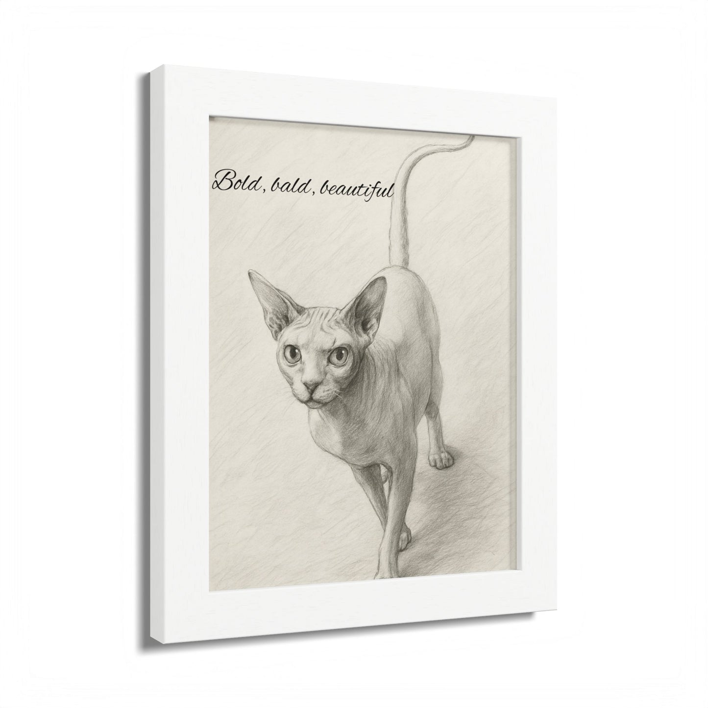 Bold,Bald ,Beautiful Sphynx Cat Framed Poster