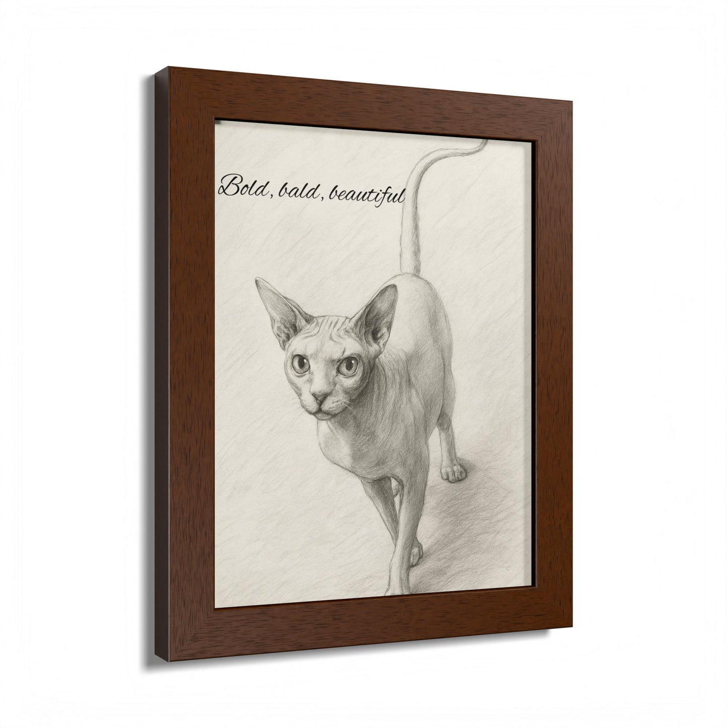 Bold,Bald ,Beautiful Sphynx Cat Framed Poster