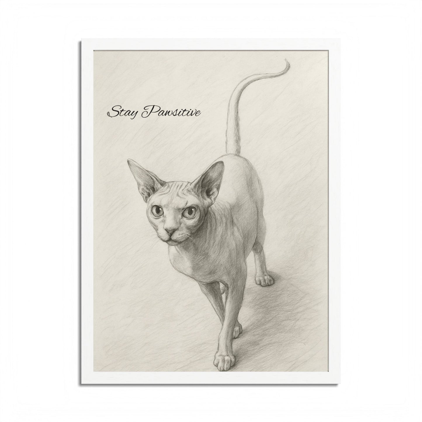Stay Pawsitive Multi-Color Framed Cat Poster