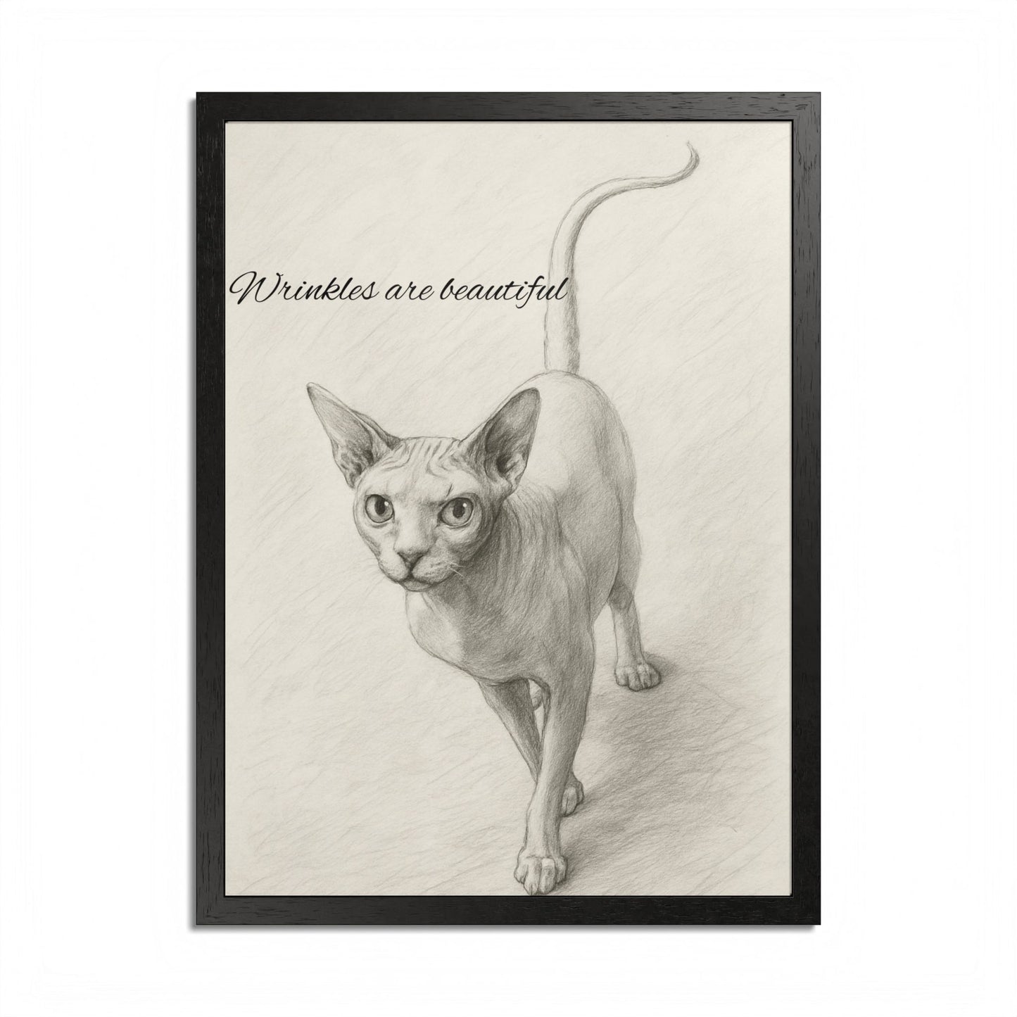Sphynx Cat Poster - Wrinkles are Beautiful