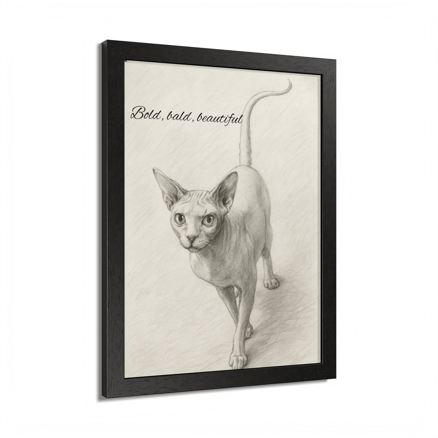Bold,Bald ,Beautiful Sphynx Cat Framed Poster