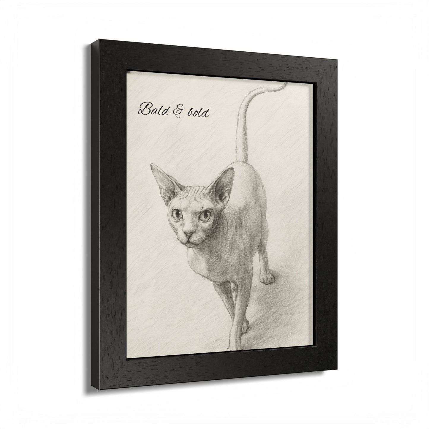 Bald And Bold Framed Sphynx Cat Poster