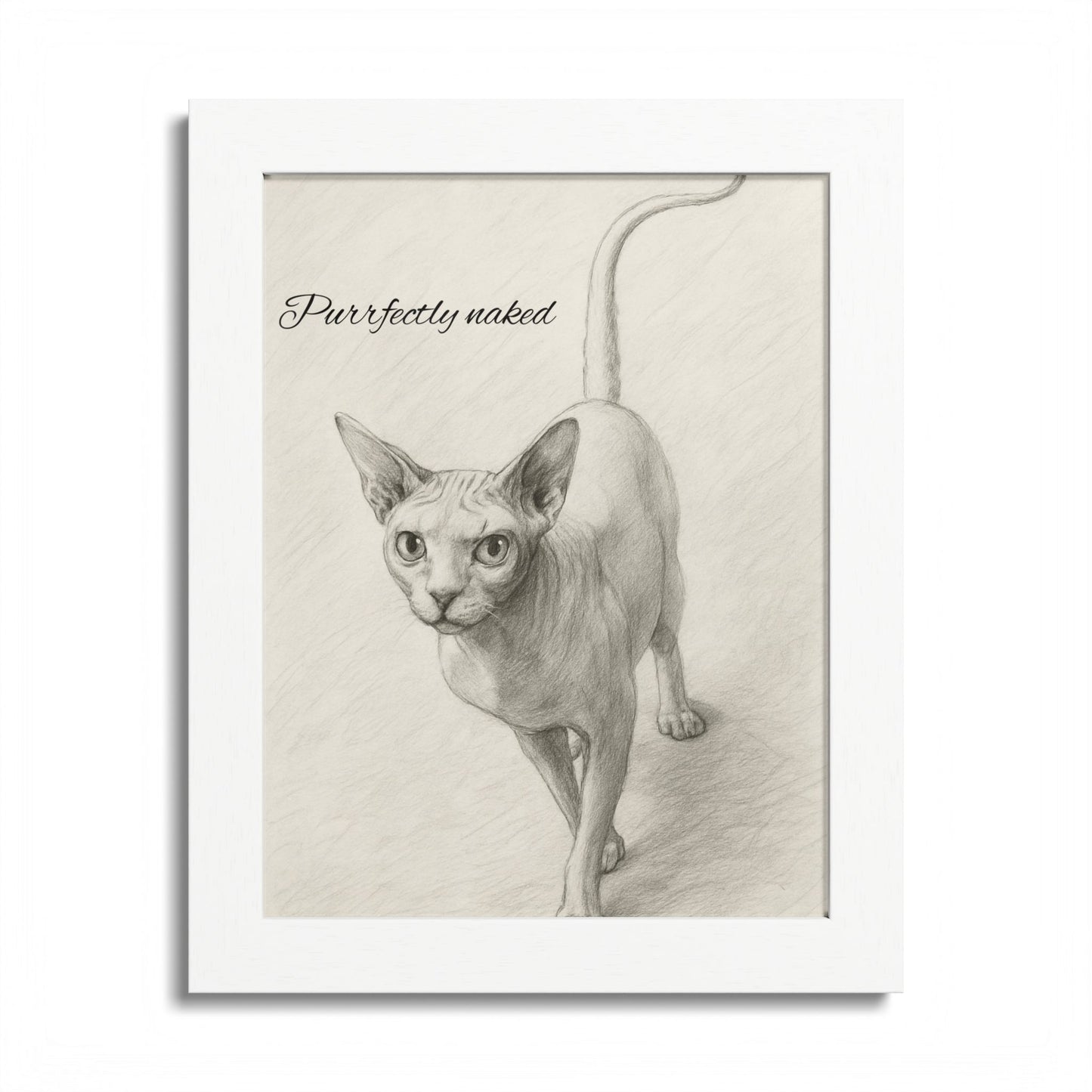 Purfectly Naked Sphynx Cat Lover Framed Poster