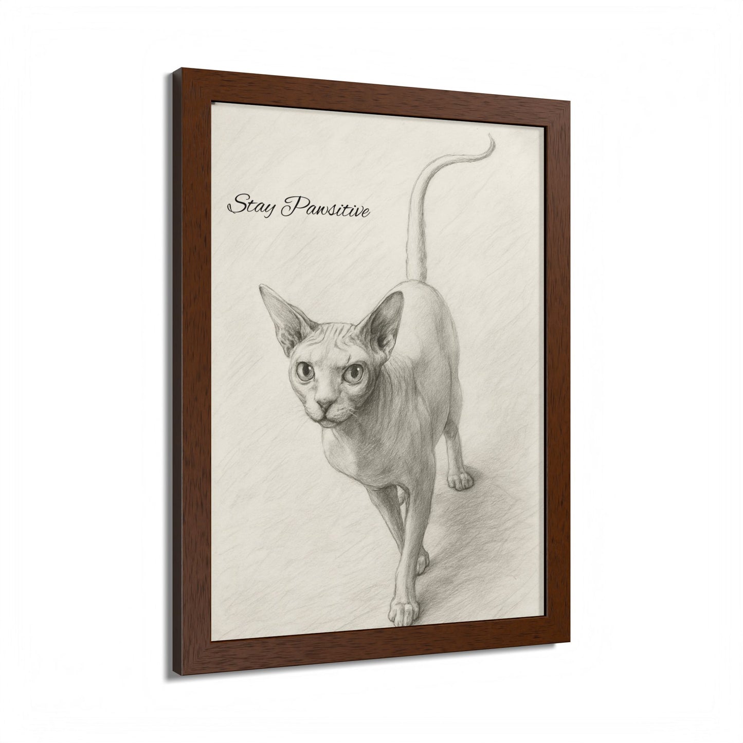 Stay Pawsitive Multi-Color Framed Cat Poster