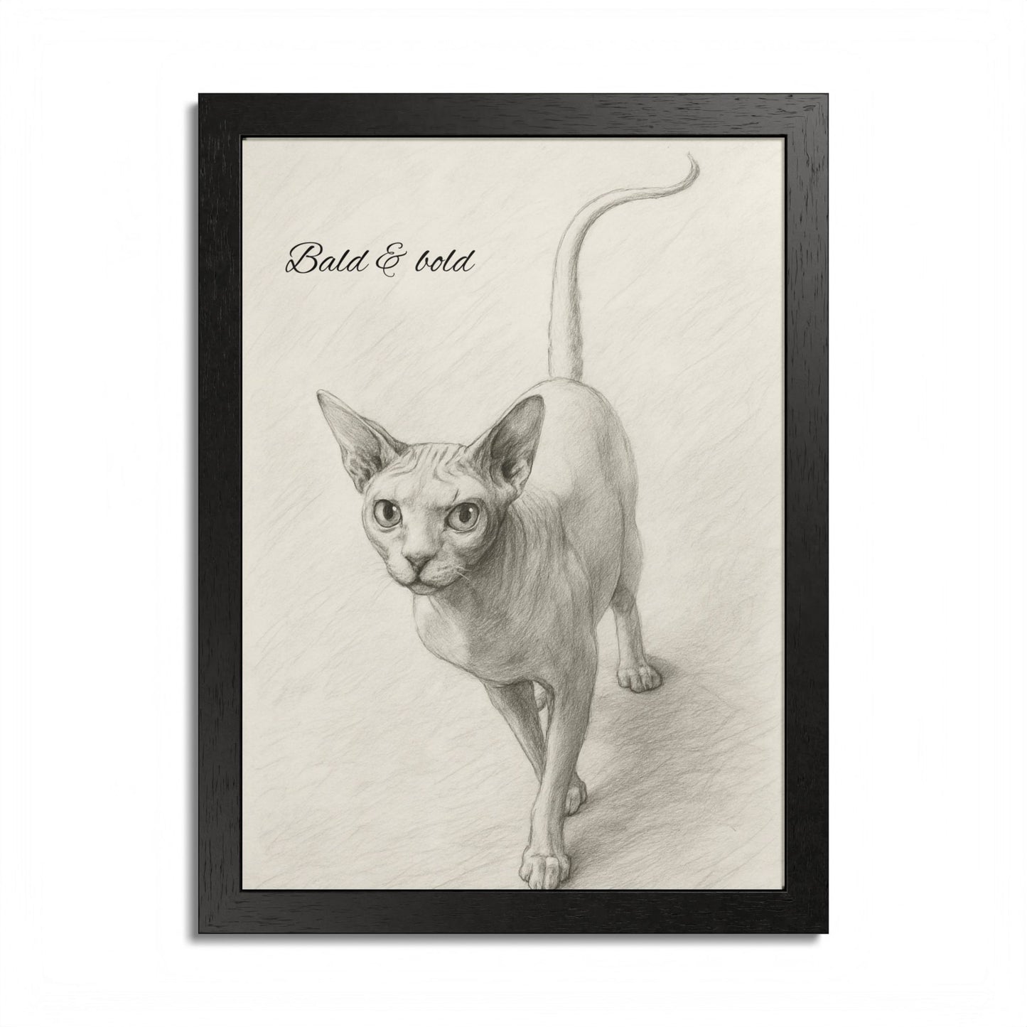Bald And Bold Framed Sphynx Cat Poster