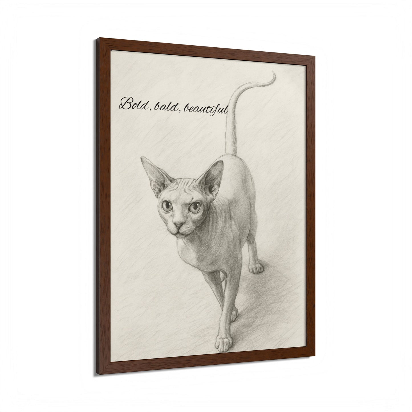 Bold,Bald ,Beautiful Sphynx Cat Framed Poster