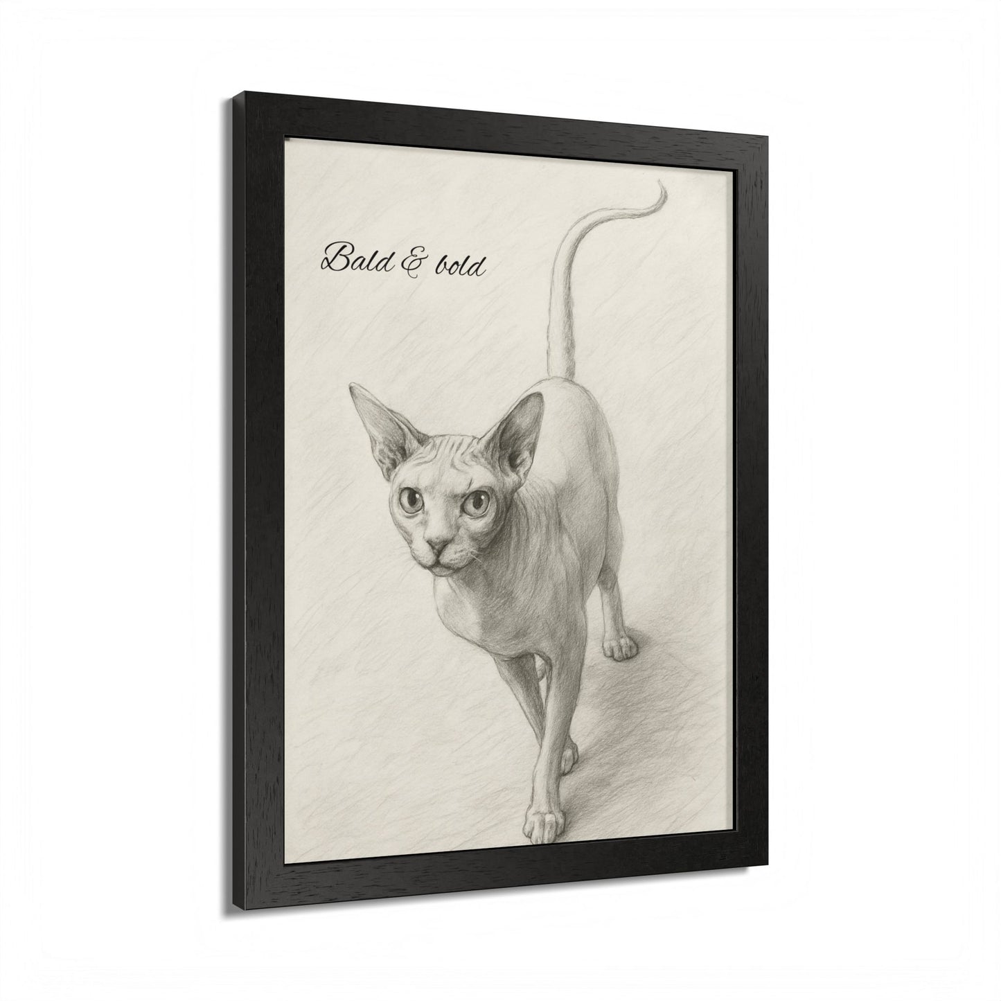 Bald And Bold Framed Sphynx Cat Poster