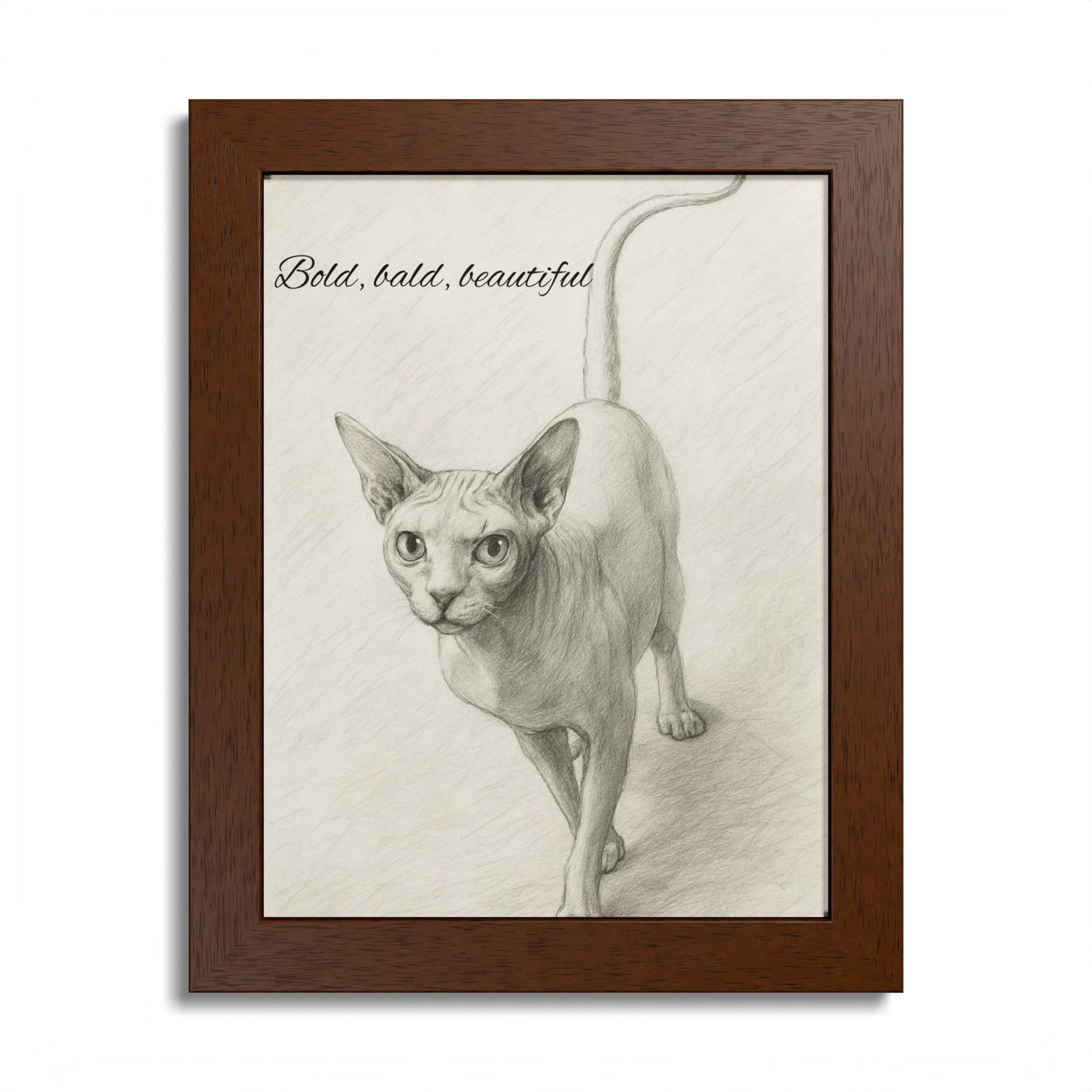 Bold,Bald ,Beautiful Sphynx Cat Framed Poster