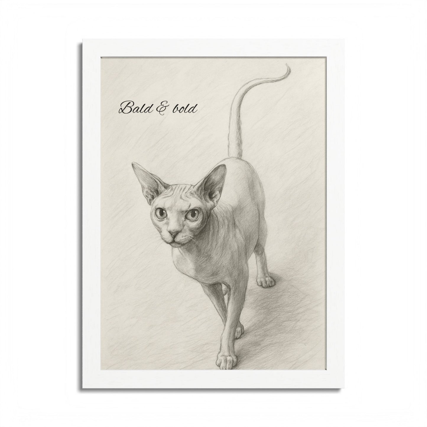 Bald And Bold Framed Sphynx Cat Poster