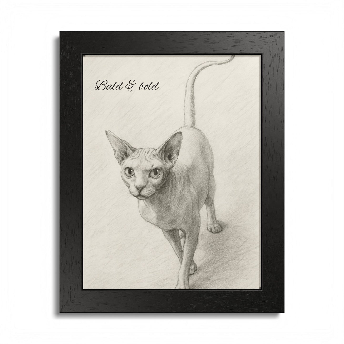 Bald And Bold Framed Sphynx Cat Poster
