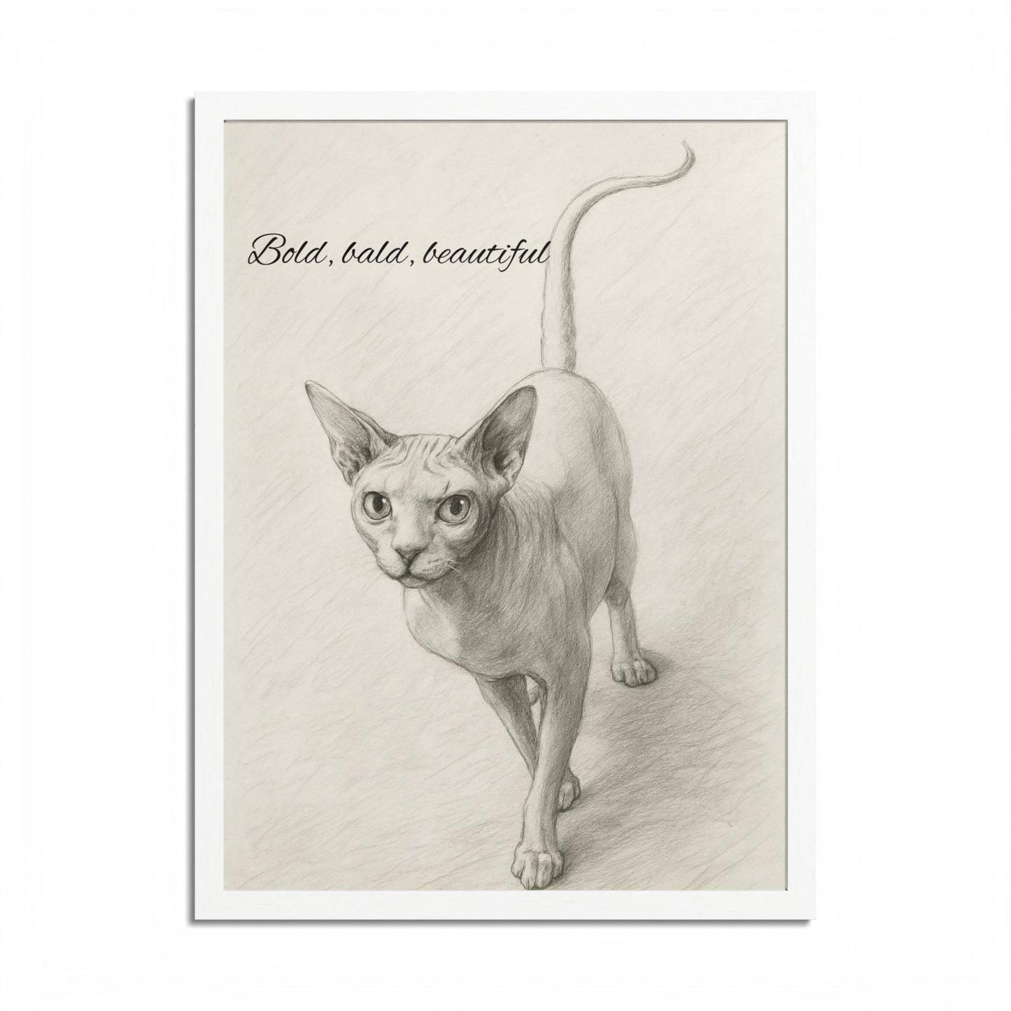 Bold,Bald ,Beautiful Sphynx Cat Framed Poster