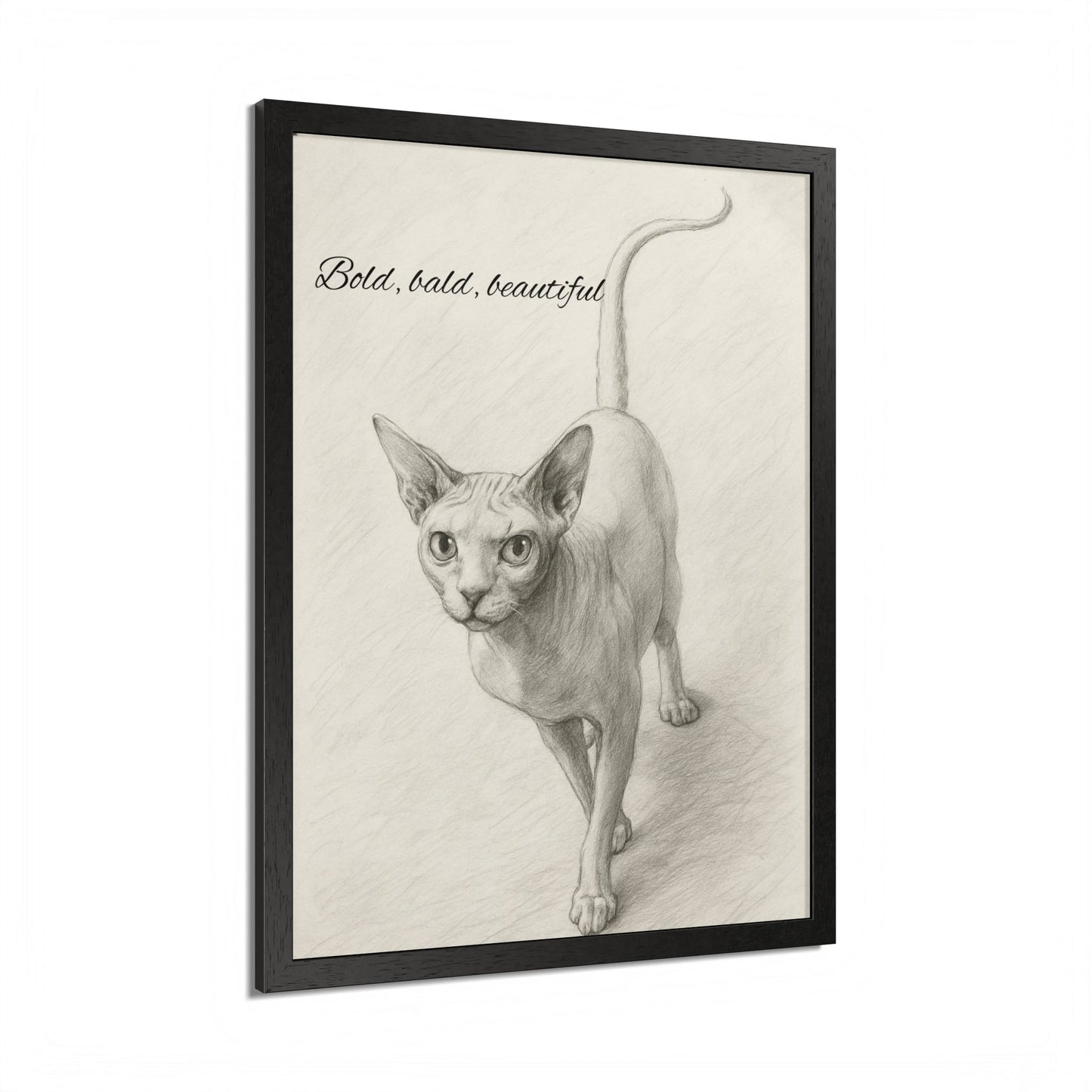 Bold,Bald ,Beautiful Sphynx Cat Framed Poster