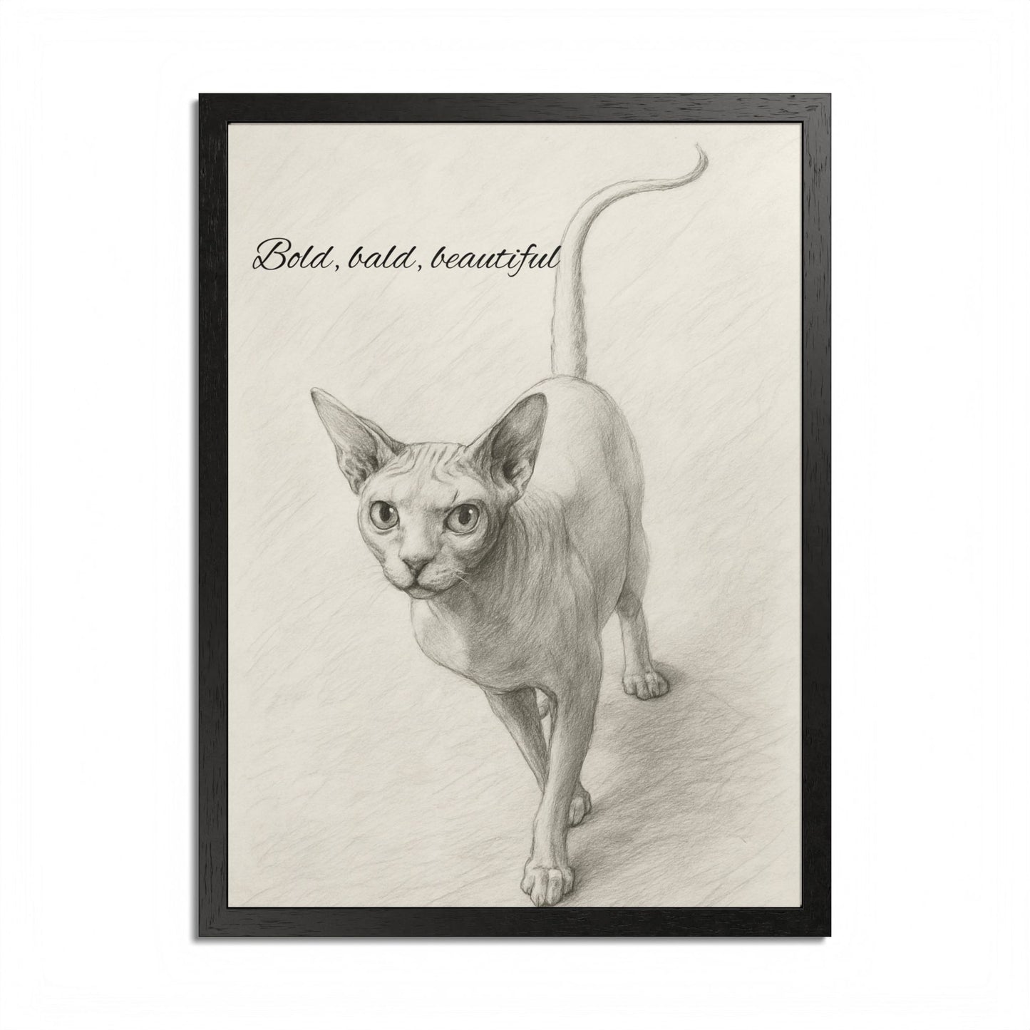 Bold,Bald ,Beautiful Sphynx Cat Framed Poster