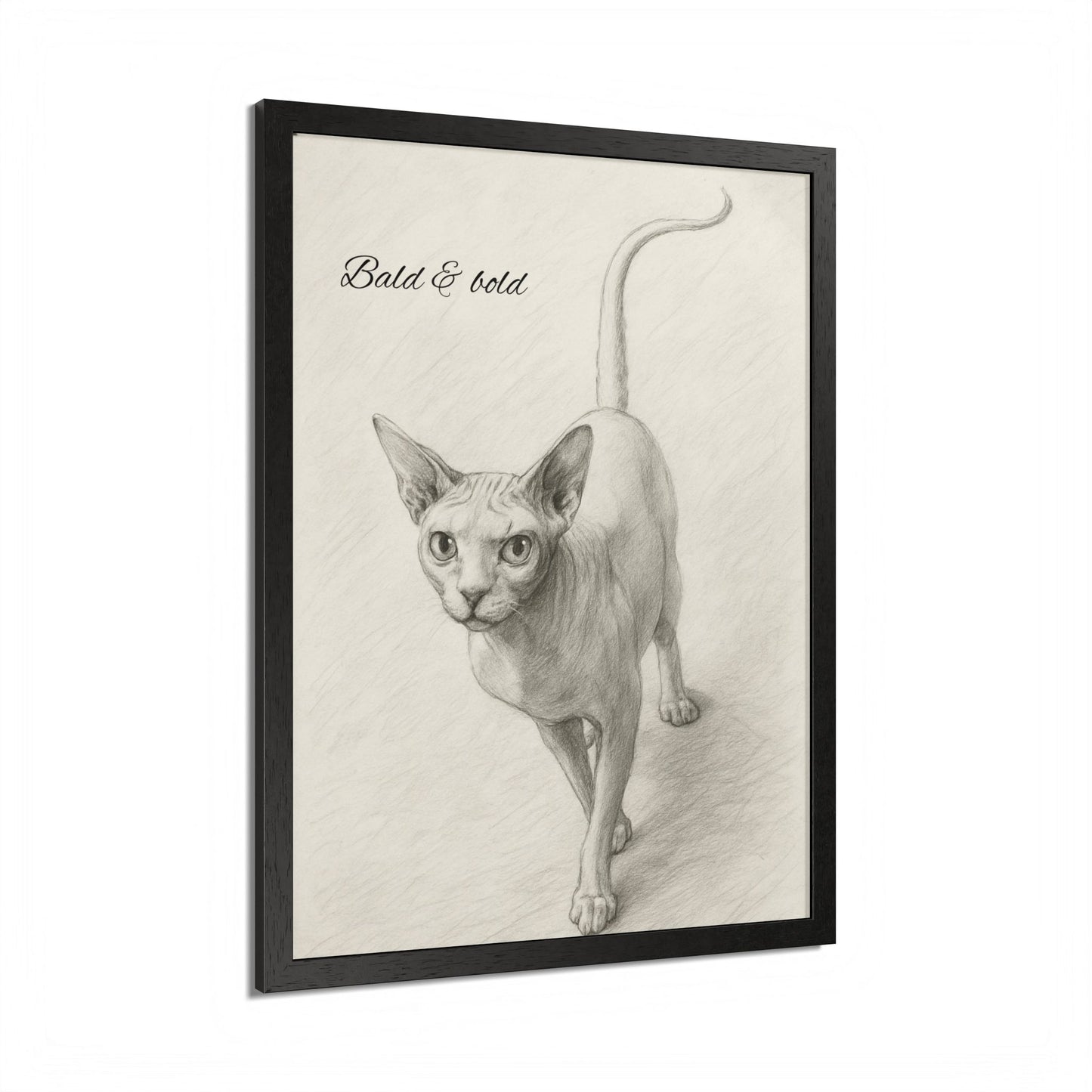 Bald And Bold Framed Sphynx Cat Poster