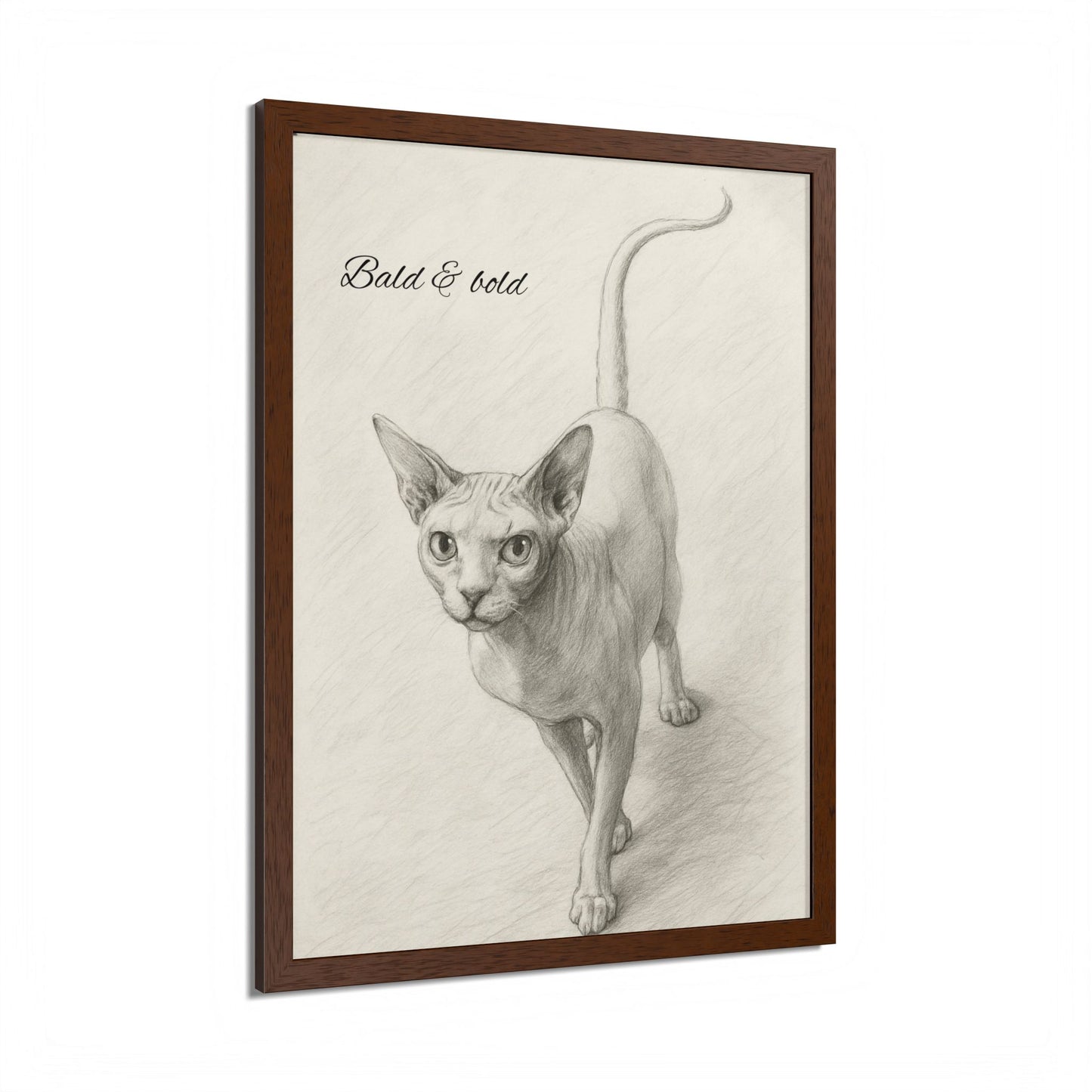Bald And Bold Framed Sphynx Cat Poster