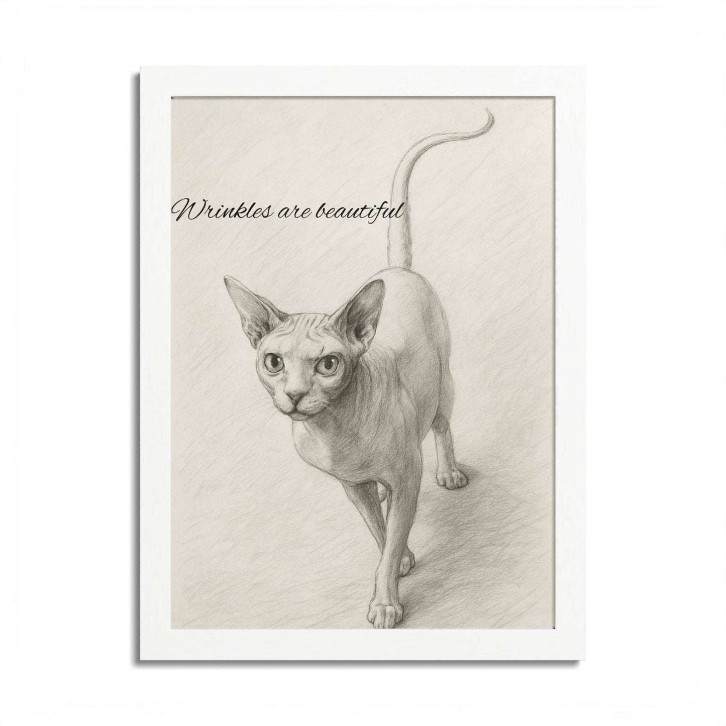 Sphynx Cat Poster - Wrinkles are Beautiful