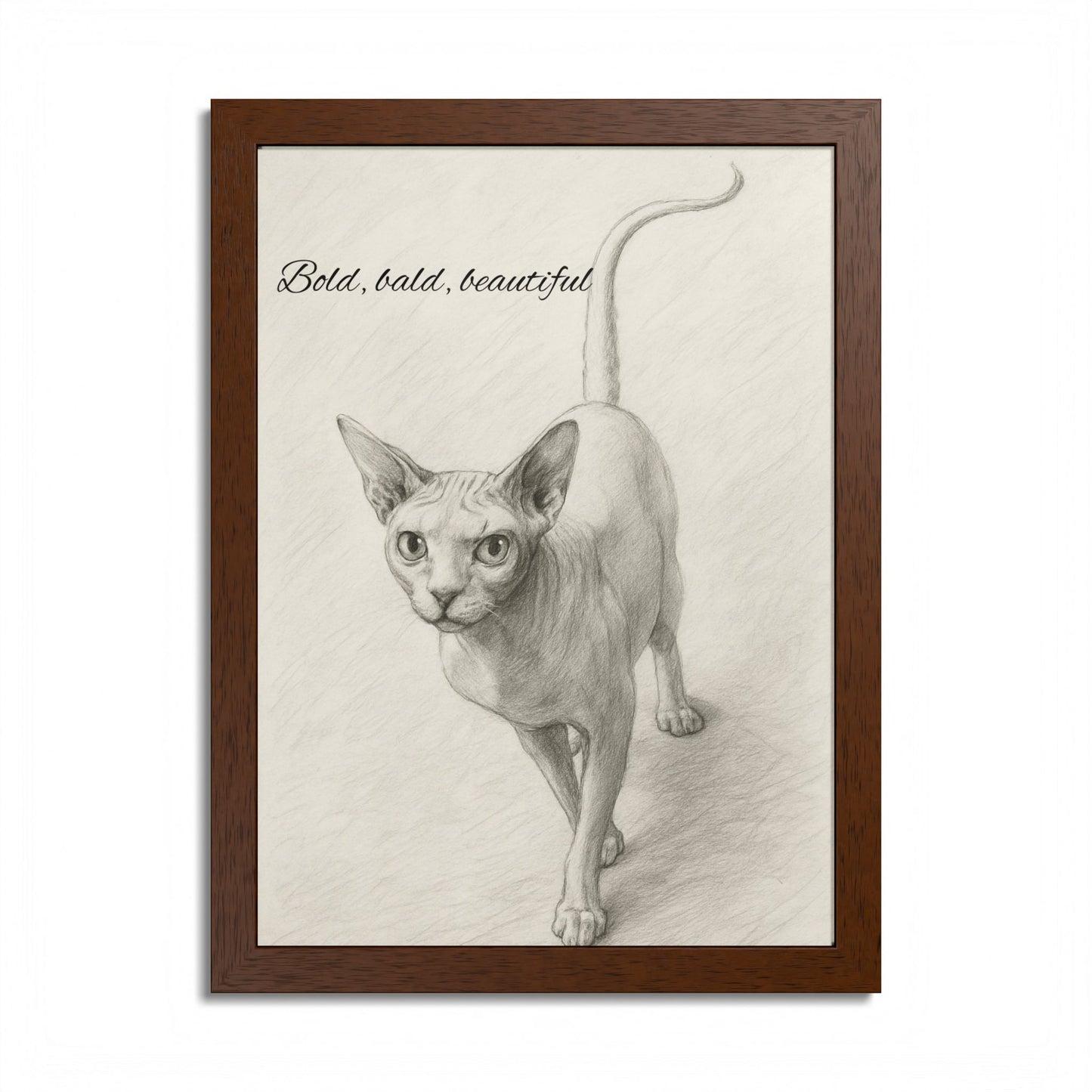 Bold,Bald ,Beautiful Sphynx Cat Framed Poster