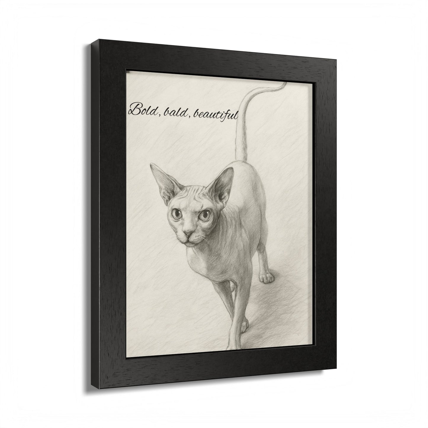 Bold,Bald ,Beautiful Sphynx Cat Framed Poster