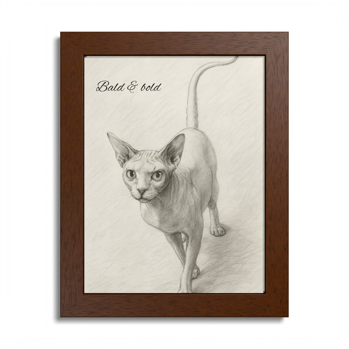 Bald And Bold Framed Sphynx Cat Poster