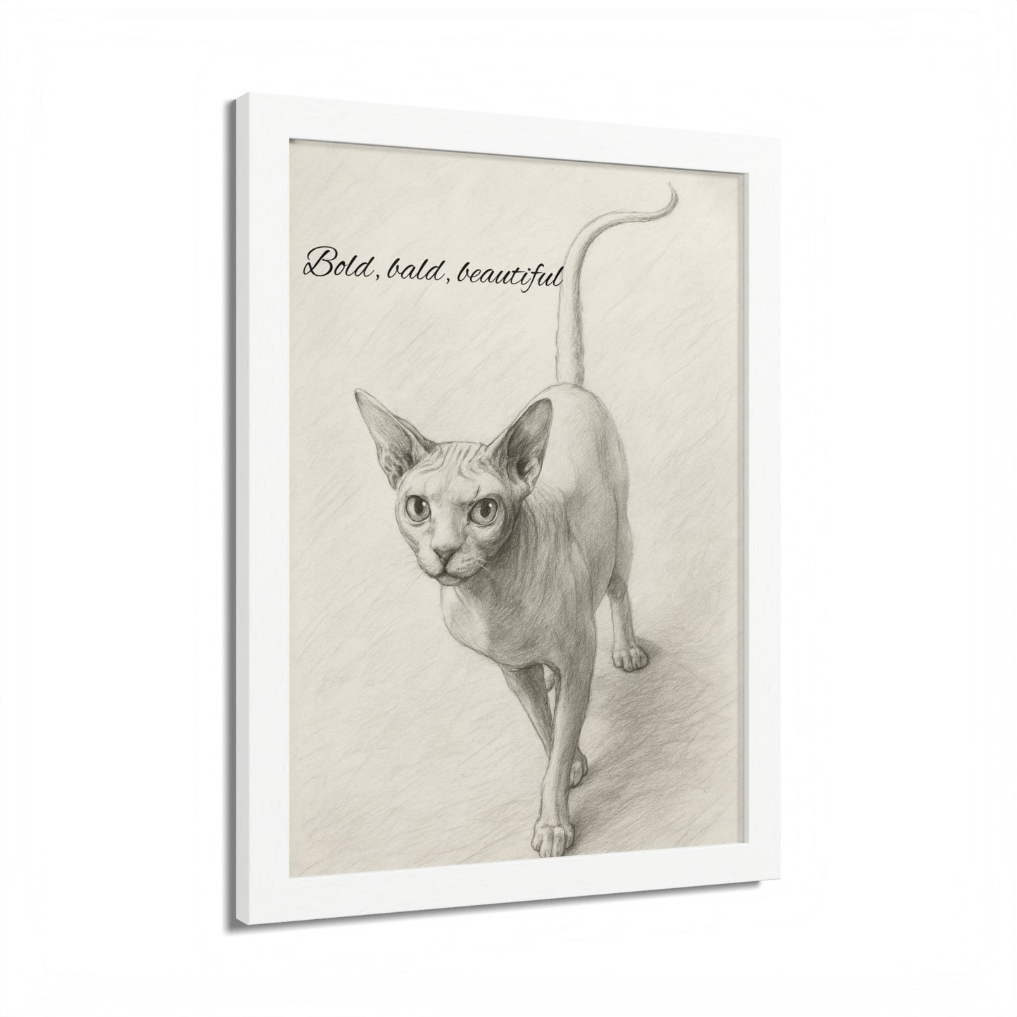 Bold,Bald ,Beautiful Sphynx Cat Framed Poster