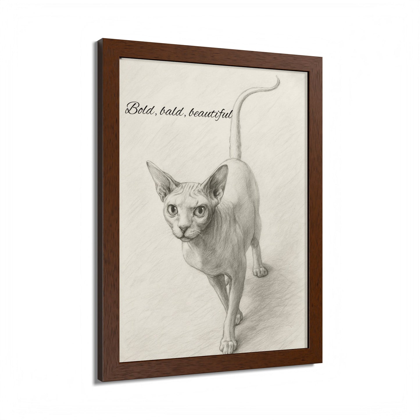 Bold,Bald ,Beautiful Sphynx Cat Framed Poster