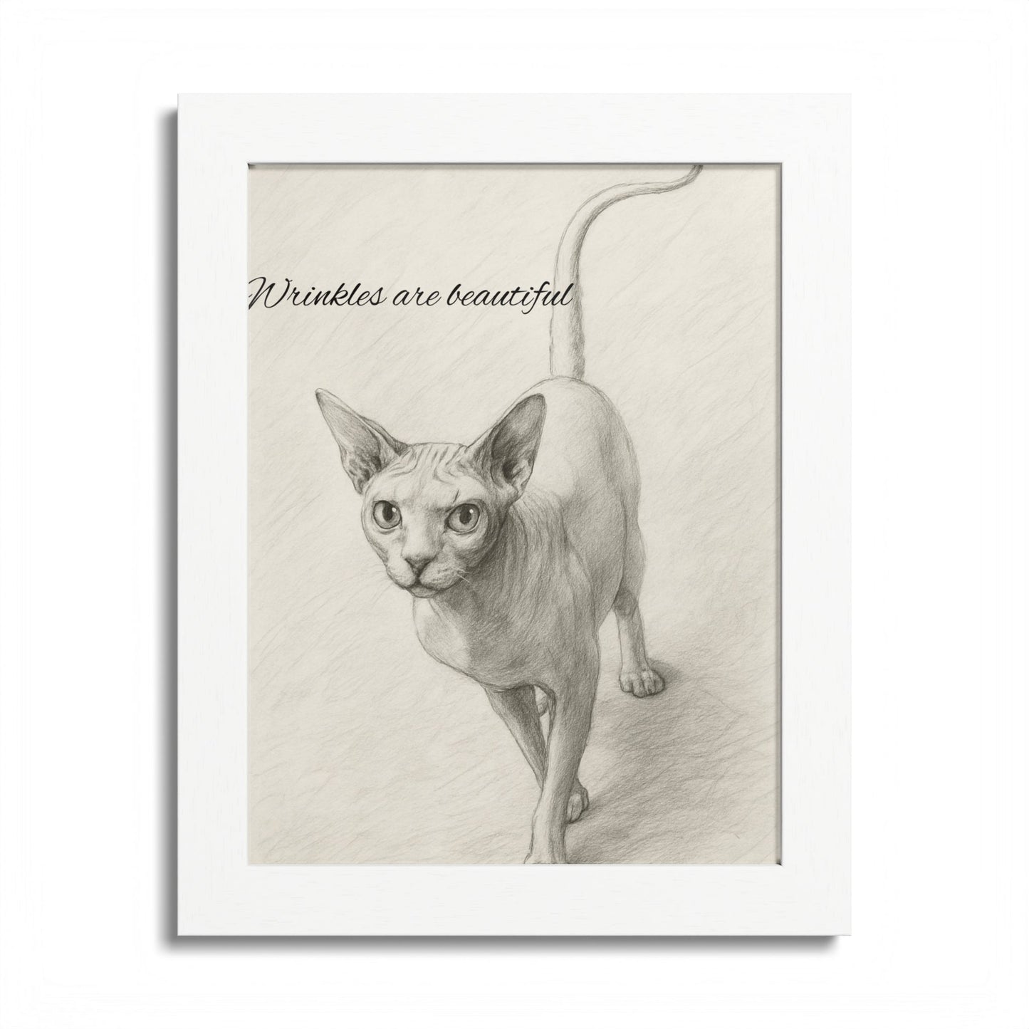 Sphynx Cat Poster - Wrinkles are Beautiful