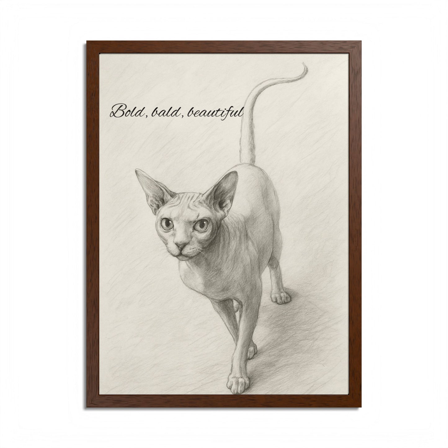 Bold,Bald ,Beautiful Sphynx Cat Framed Poster