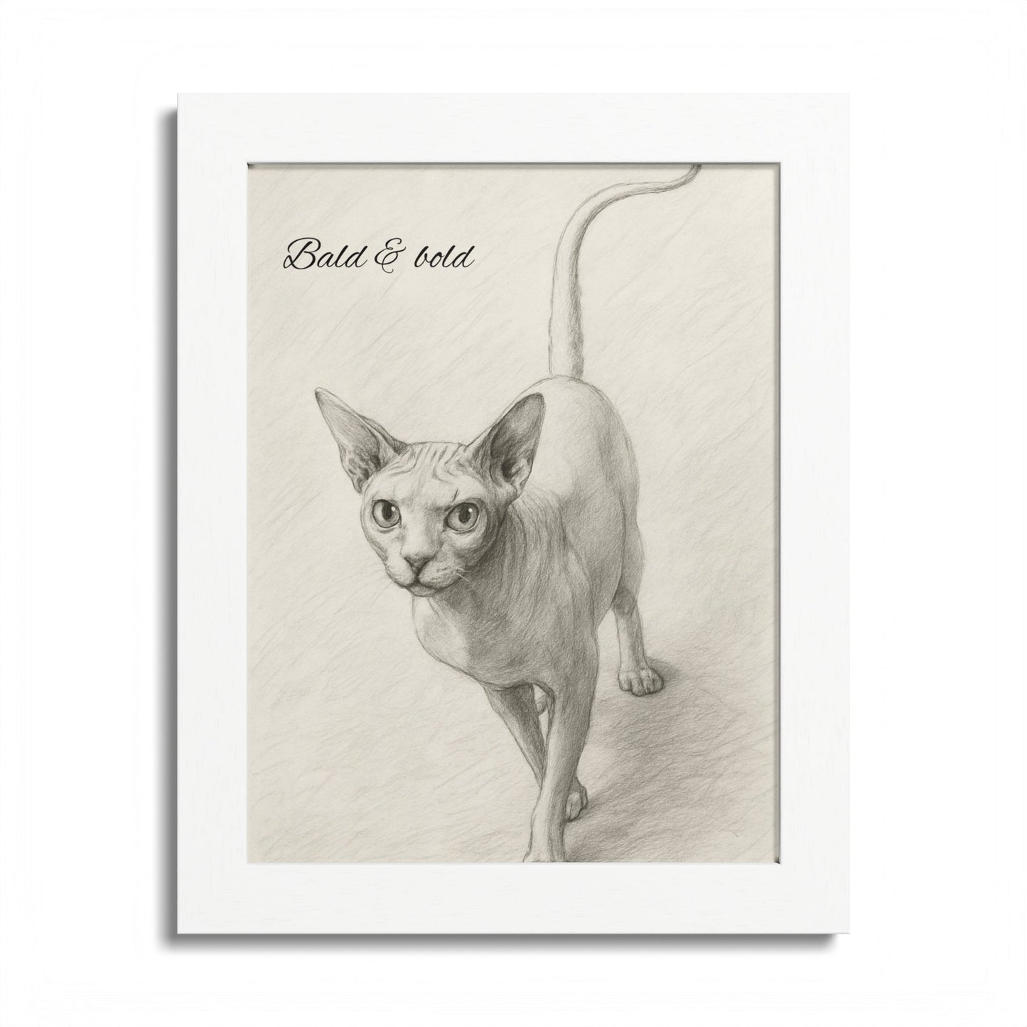 Bald And Bold Framed Sphynx Cat Poster