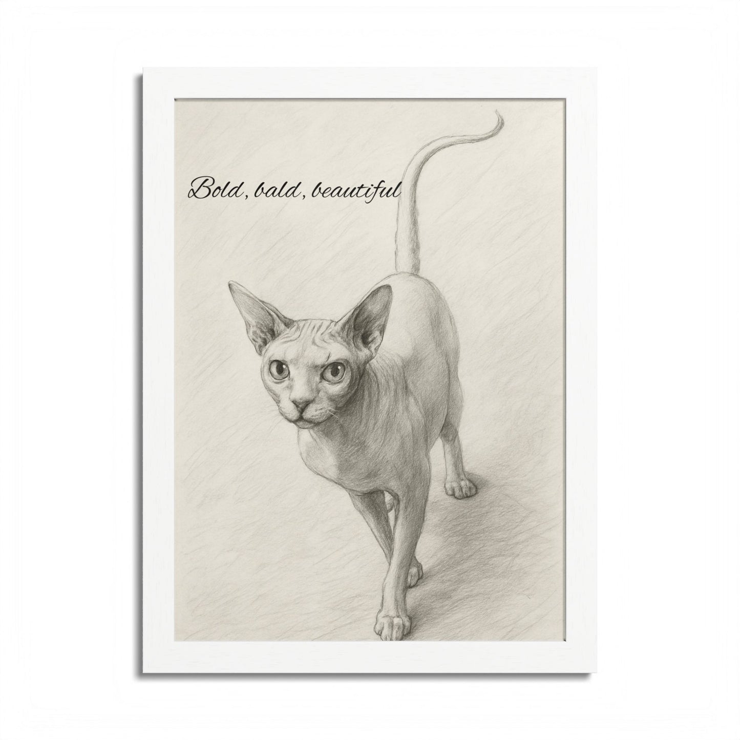Bold,Bald ,Beautiful Sphynx Cat Framed Poster