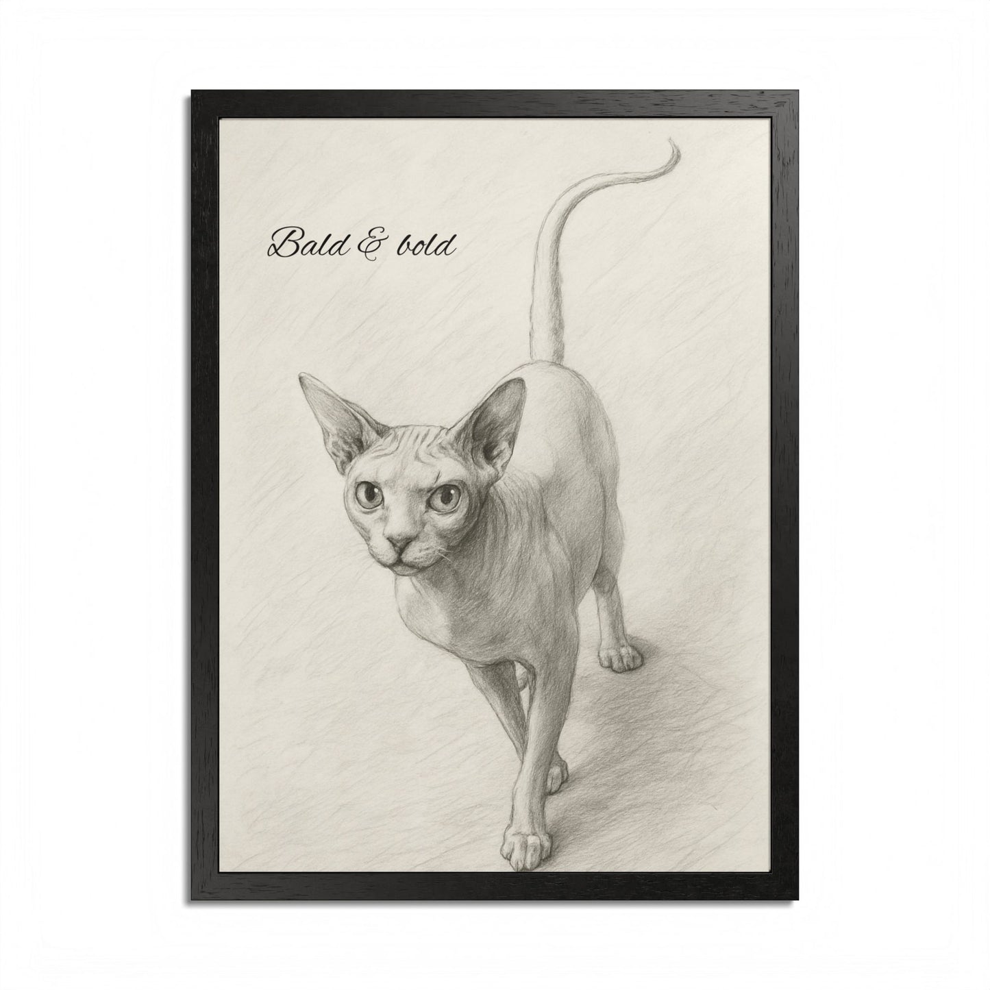 Bald And Bold Framed Sphynx Cat Poster