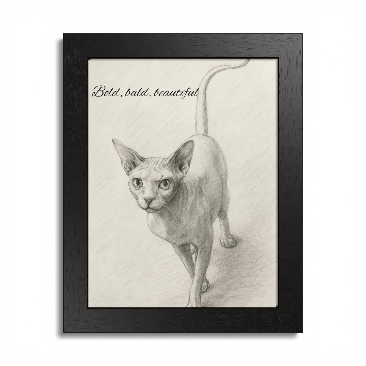 Bold,Bald ,Beautiful Sphynx Cat Framed Poster