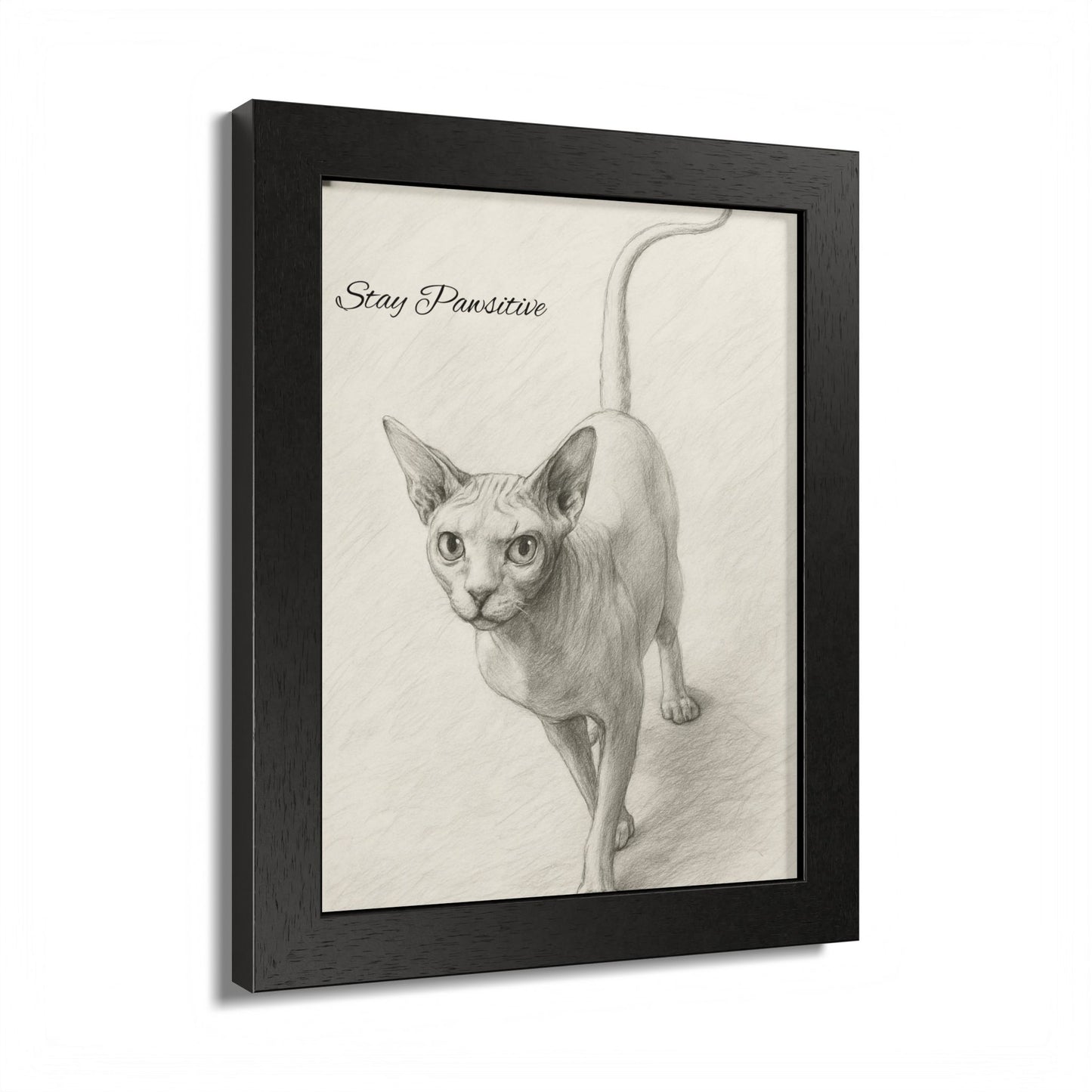 Stay Pawsitive Multi-Color Framed Cat Poster