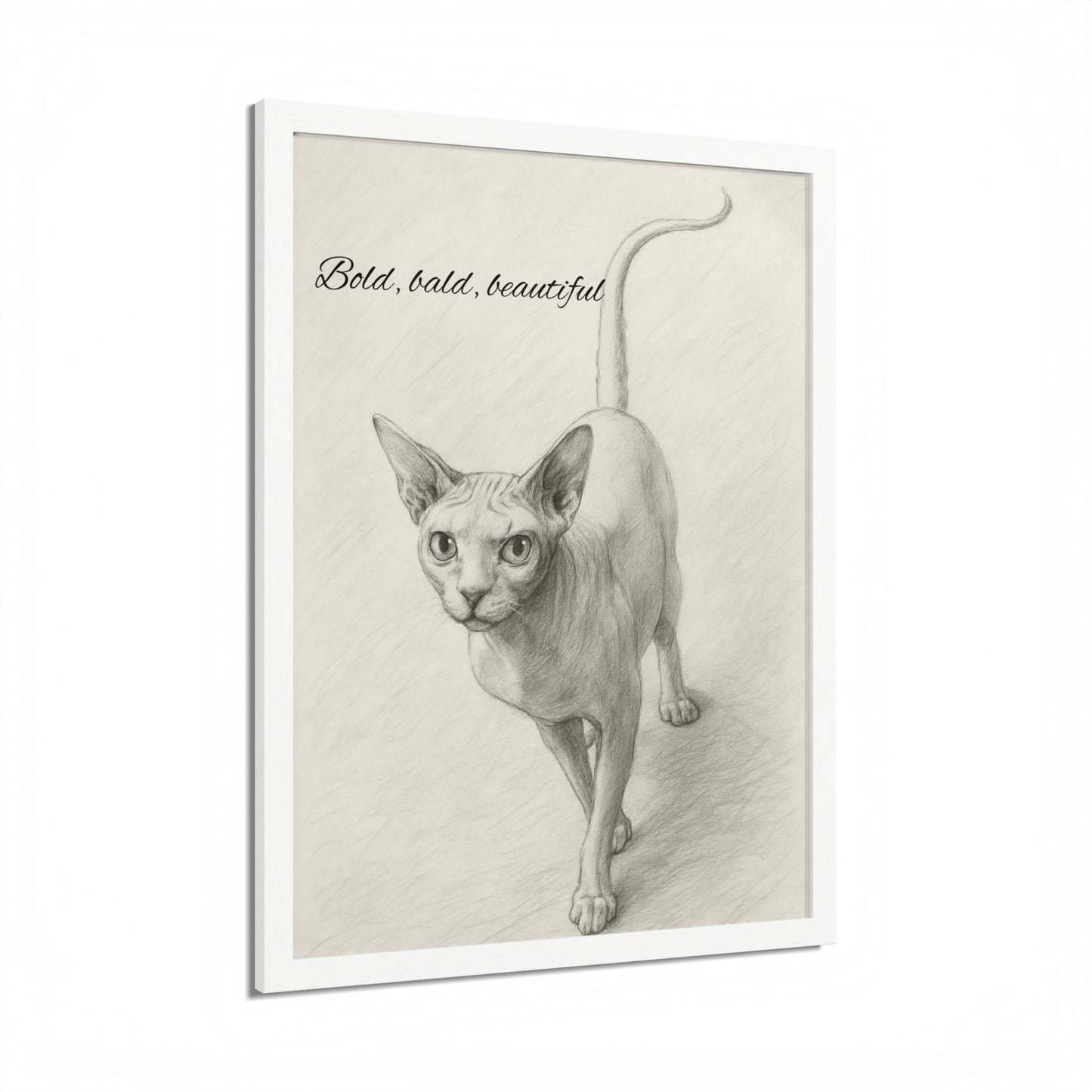Bold,Bald ,Beautiful Sphynx Cat Framed Poster