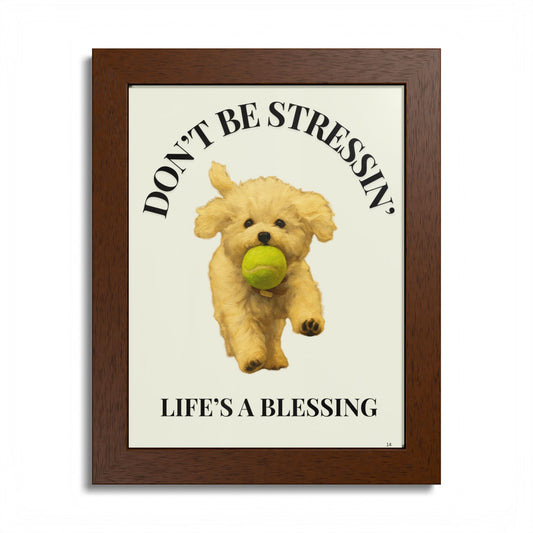 Inspirational Pet Framed Poster Don't Be Stressin Life's a Blessing