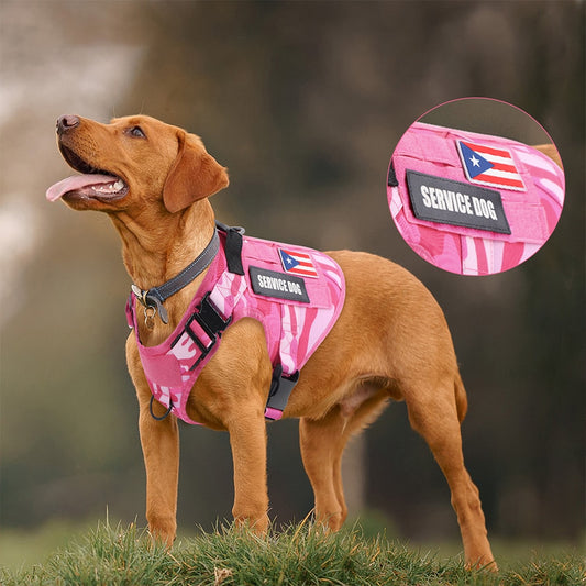 Pink Tactical Dog Harness