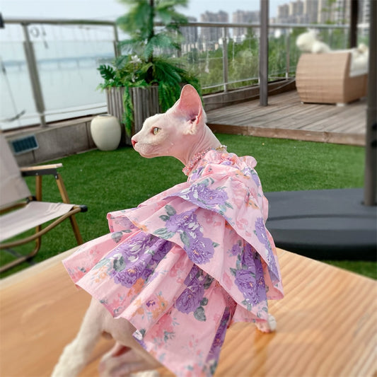 Sphynx Cat Pink Dress