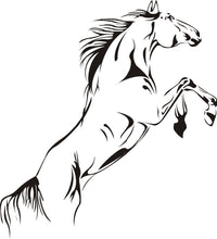 Load image into Gallery viewer, AYA DIY Wall Stickers Wall Decal,Horse PVC Wall Stickers 40*90cm
