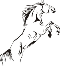 Load image into Gallery viewer, AYA DIY Wall Stickers Wall Decal,Horse PVC Wall Stickers 40*90cm
