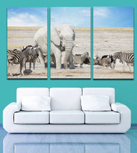Load image into Gallery viewer, 3 Pieces Picture African Wild Animal Zebra Elephant Painting Canvas Print Mural Art Home Living Office Wall Decor
