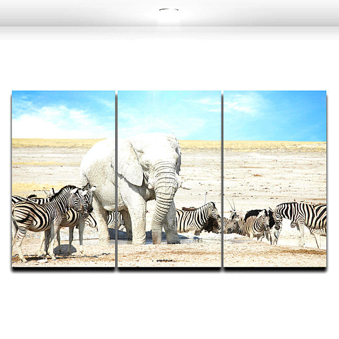 3 Pieces Picture African Wild Animal Zebra Elephant Painting Canvas Print Mural Art Home Living Office Wall Decor