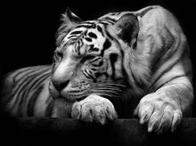 Load image into Gallery viewer, Animal Black and White Tiger Canvas Print Painting Modern Wall Art Home Decoration
