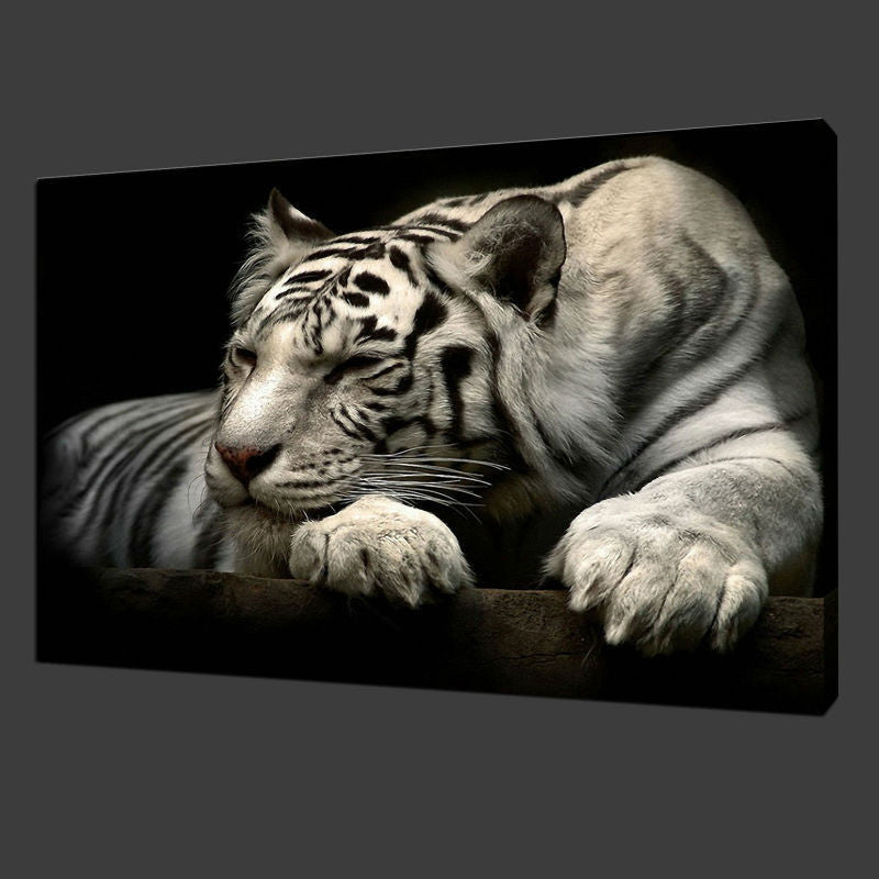 Animal Black and White Tiger Canvas Print Painting Modern Wall Art Home Decoration