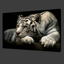 Load image into Gallery viewer, Animal Black and White Tiger Canvas Print Painting Modern Wall Art Home Decoration
