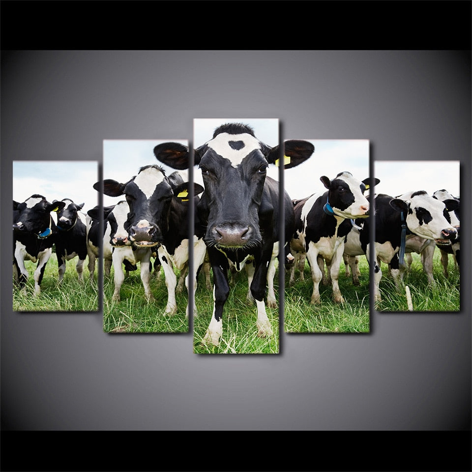 5 piece Milk Cow Canvas Art