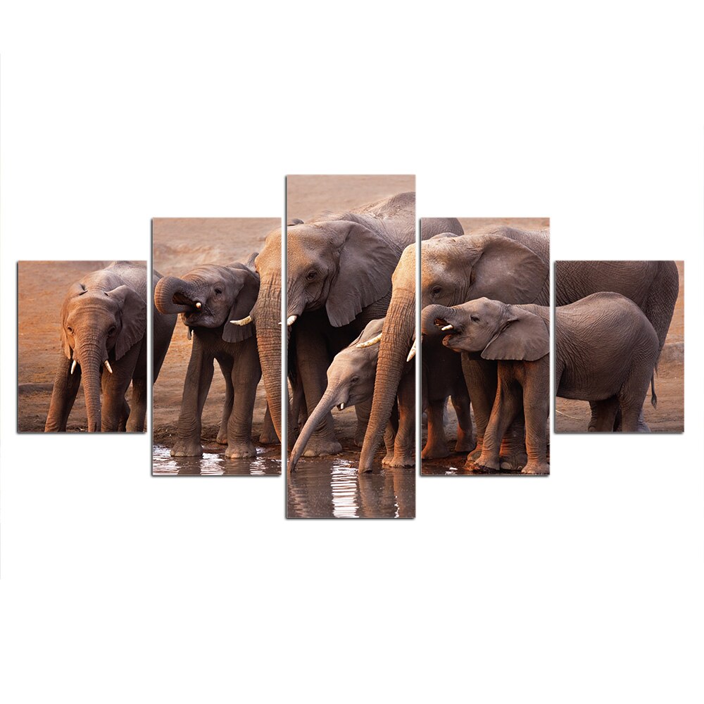 Sunset elephant 5 Piece Picture Wall Art Prints