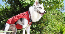 Load image into Gallery viewer, Clothes For Dog christmas winter Dogs Coat Jacket Waterproof Pet Raincoats Warm Outdoor Safety Supplies Small Big Dog VC14-JK004
